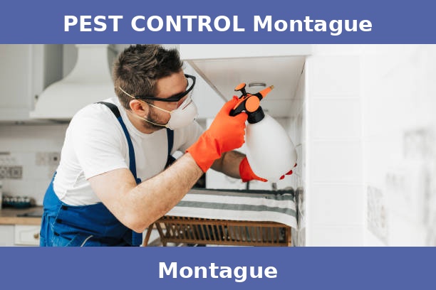 PEST CONTROL Montague